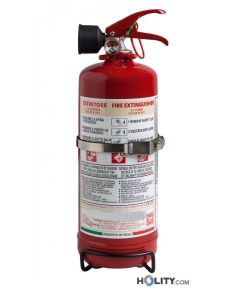 Schaum-Feuerlöscher-2-L-h214_70