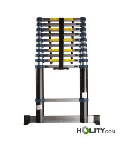 Professionelle-Teleskopleiter-h858_67