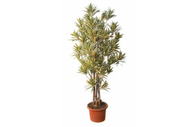 dracaena-boschetto-variegata-pianta-artificiale-h9307
