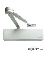 Türschließer-mit-Arm-Dormakaba-ts69-h0506
