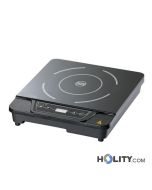 Professionelle-Induktionskochplatte-h220_358