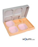 Isothermische-Behälter-für-Einwegschalen-h28224