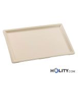 Gastronorm-Tablett-aus-Polyester-h282_58