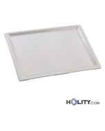 Euronorm-Tablett-h282_59