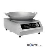 Induktionskochplatte-für-Wok-h418_147