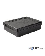 Thermobox-für-Lieferservice-h577_02