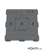 Straßenschachtabdeckung-mit-Inspektionsluke-h638_86