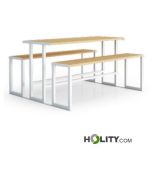 Tisch-mit-Picknickbänken-h678_33