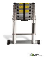 Professionelle-Teleskopleiter-h858_61