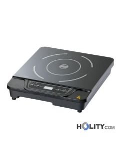 Professionelle-Induktionskochplatte-h220_358