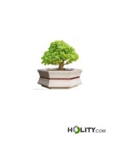 Sechseckige-Pflanzgefäße-für-Stadtmobiliar-h287_313