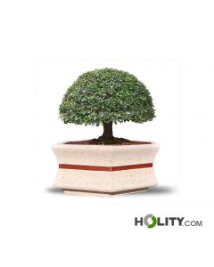 Sechseckiges-Pflanzgefäß-für-den-öffentlichen-Raum-h319_129