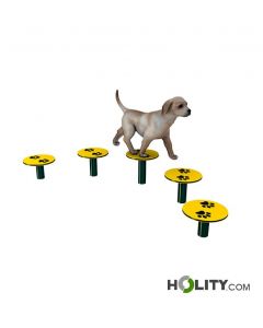 Hunde-Agility-Parcours-h521_32