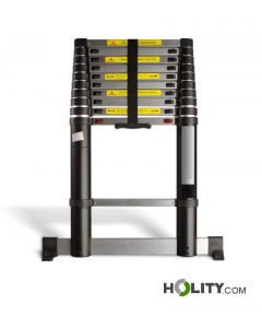 Professionelle-Teleskopleiter-h858_57