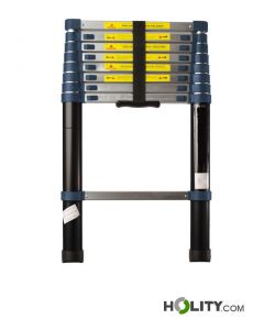 Professionelle-Teleskopleiter-h858_64