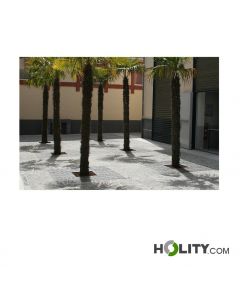 Baumrost-h867_35