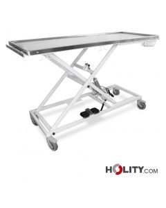 Operationstisch-für-tierärztliche-Eingriffeh930_38