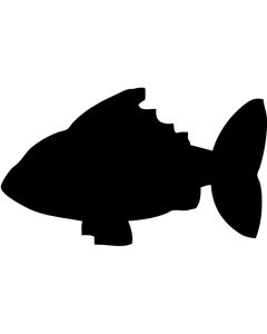 Selbstklebende-Tafel-in-Fischform-h14848