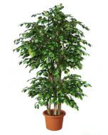 ficus-benjamin-boschetto-pianta-artificiale-h9308