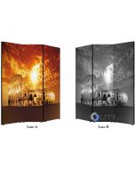 Doppelseitiger Foto-Paravent h11815