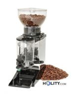 Professionelle-Kaffeemühle-h220213