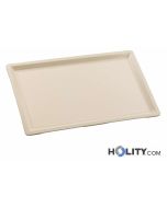 Gastronorm-Tablett-aus-Polyester-h282_58