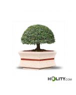 Sechseckiges-Pflanzgefäß-für-den-öffentlichen-Raum-h319_129