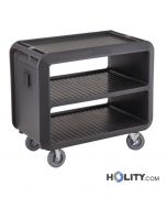 Servicewagen-h464_339