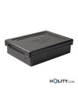 Thermobox-für-Lebensmittellieferung-h577_15