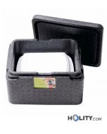 Thermobox-für-Lebensmitteltransport-h577_16