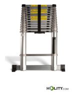 Professionelle-Teleskopleiter-h858_61