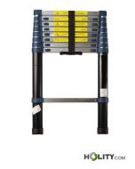 Professionelle-Teleskopleiter-h858_64