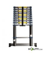Professionelle-Teleskopleiter-h858_67