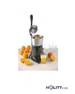 Elektronische-Saftpresse-h887_02