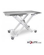 Operationstisch-für-die-Veterinärmedizin-h930_39