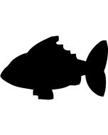 Selbstklebende-Tafel-in-Fischform-h14848