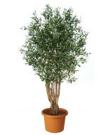 ulivo-malabar-pianta-artificiale-h9304