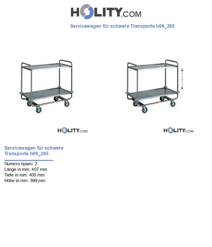 Servicewagen für schwere Transporte h09_265