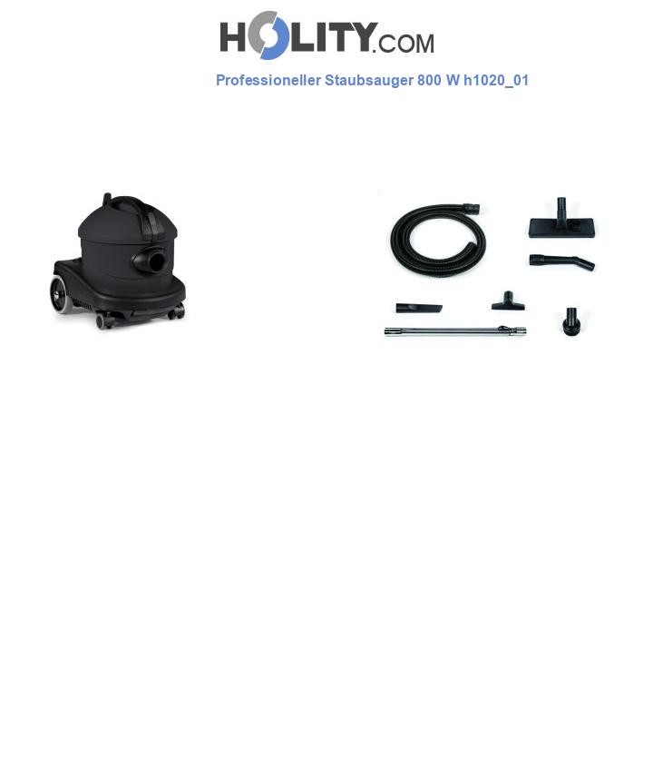 Professioneller Staubsauger 800 W h1020_01