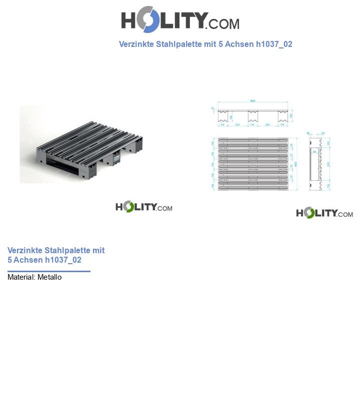 Verzinkte Stahlpalette mit 5 Achsen h1037_02
