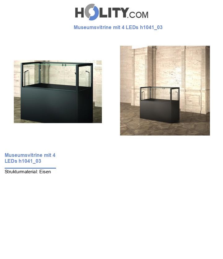Museumsvitrine mit 4 LEDs h1041_03