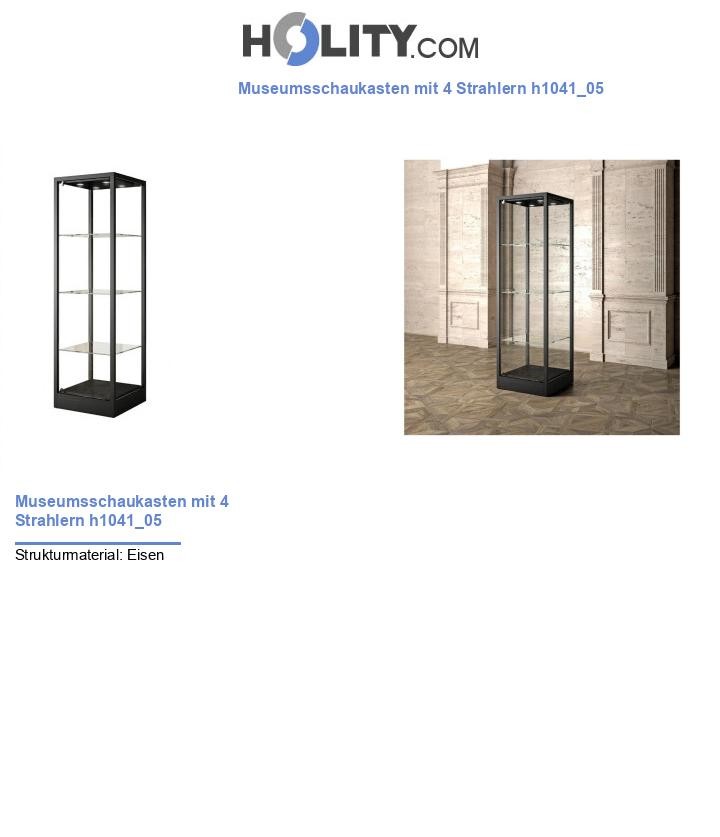 Museumsschaukasten mit 4 Strahlern h1041_05