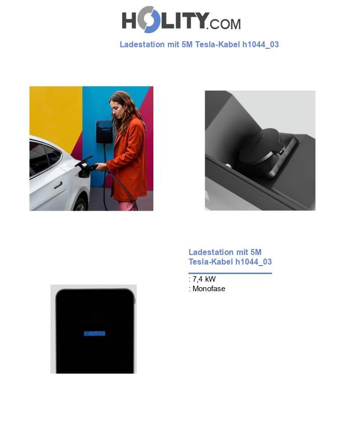Ladestation mit 5M Tesla-Kabel h1044_03