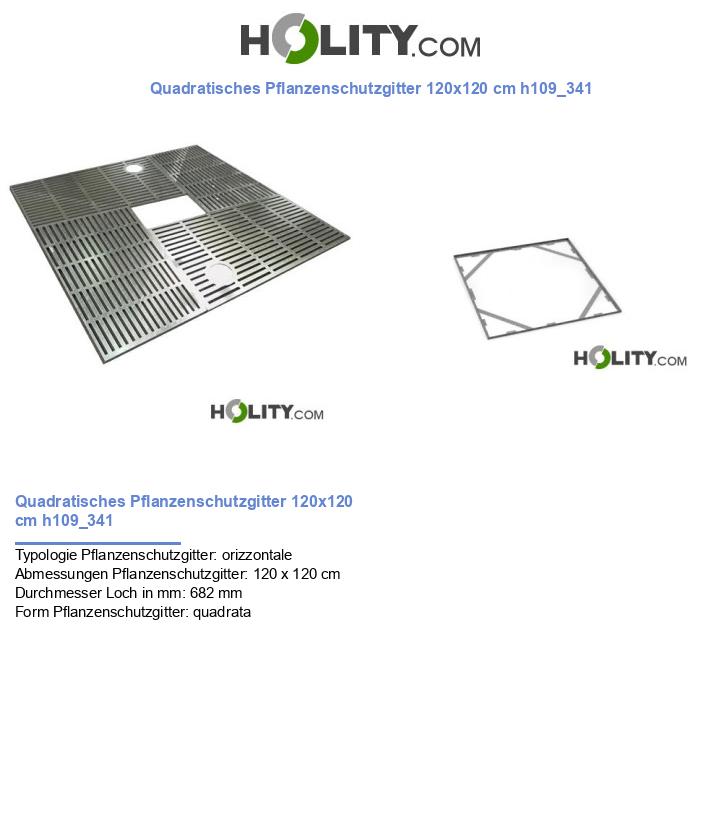 Quadratisches Pflanzenschutzgitter 120x120 cm h109_341