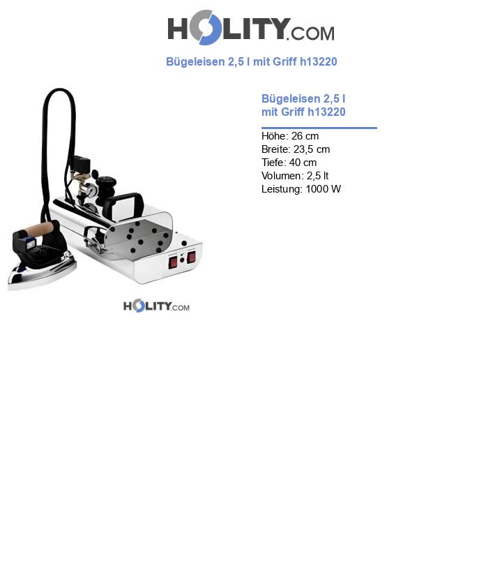 Bügeleisen 2,5 l mit Griff h13220