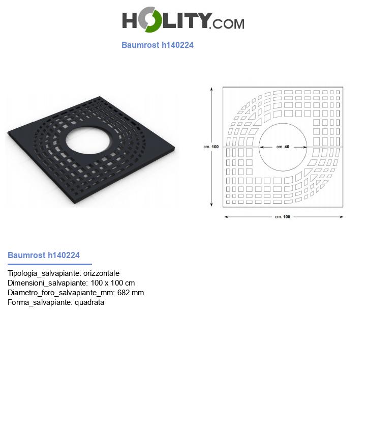 Baumrost h140224