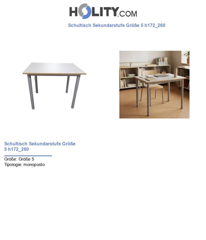 Schultisch Sekundarstufe Größe 5 h172_260