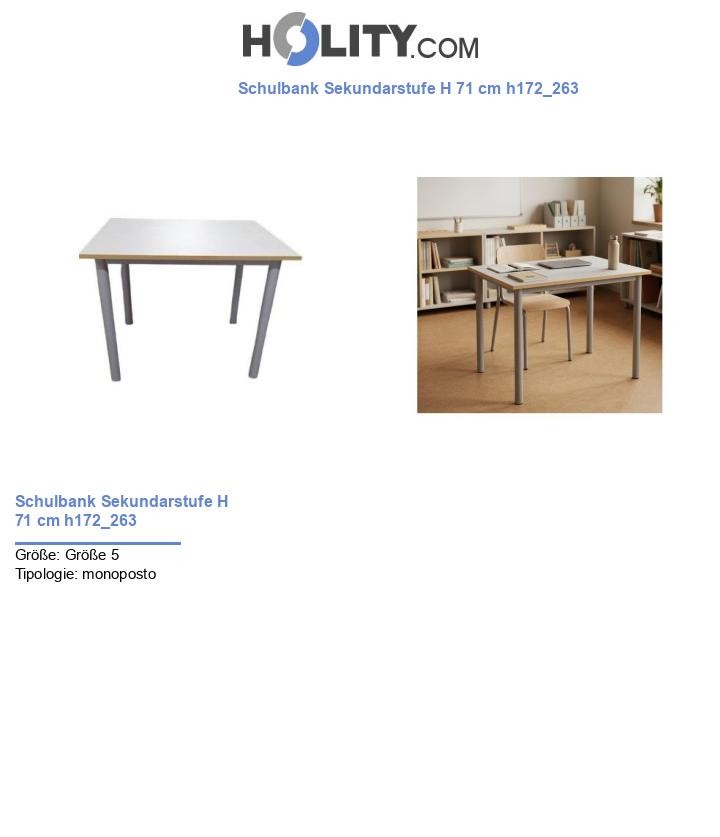 Schulbank Sekundarstufe H 71 cm h172_263