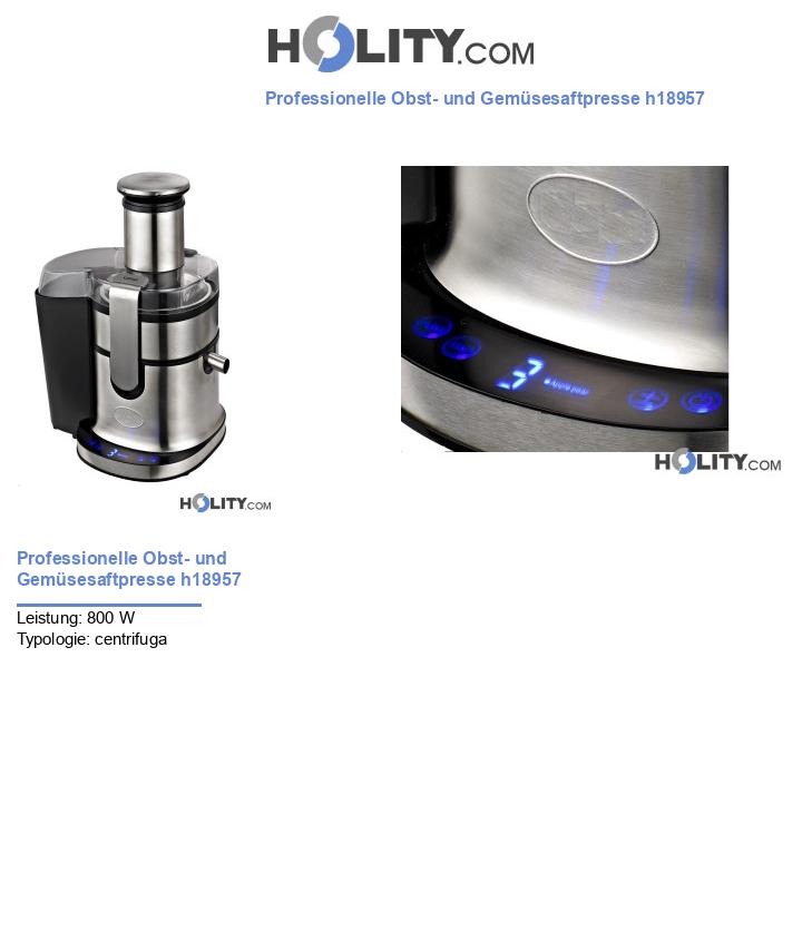 Professionelle Obst- und Gemüsesaftpresse h18957