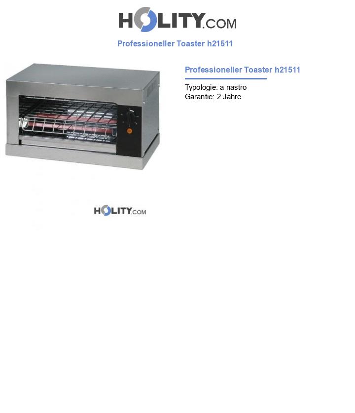 Professioneller Toaster h21511